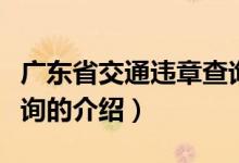 广东省交通违章查询（关于广东省交通违章查询的介绍）