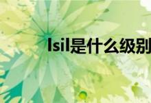 lsil是什么级别（lsil是什么病情）