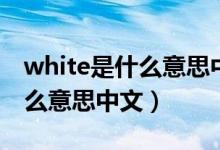 white是什么意思中文翻译人名（white是什么意思中文）