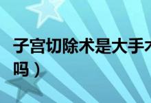 子宫切除术是大手术吗（子宫切除术是大手术吗）