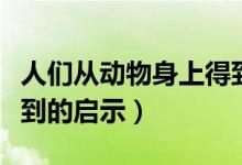 人们从动物身上得到启示（人们从动物身上得到的启示）