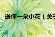 送你一朵小花（关于送你一朵小花的介绍）