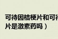 可待因桔梗片和可待因片的区别（可待因桔梗片是激素药吗）