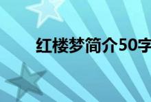 红楼梦简介50字左右（红楼梦简介）