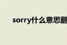 sorry什么意思翻译（sorry什么意思）