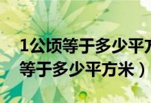 1公顷等于多少平方米等于多少千米（1公顷等于多少平方米）