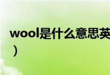 wool是什么意思英语翻译（wool是什么意思）