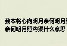 我本将心向明月奈何明月照沟渠什么意思（我本将心向明月 奈何明月照沟渠什么意思）