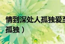 情到深处人孤独爱至穷时尽沧桑（情到深处人孤独）