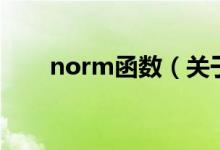 norm函数（关于norm函数的介绍）