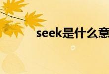 seek是什么意思（seek的用法）