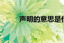 声明的意思是什么（声明的意思）