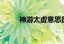 神游太虚意思是什么（神游太虚）