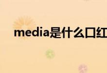 media是什么口红（media是什么意思）