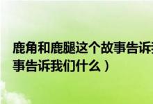 鹿角和鹿腿这个故事告诉我们什么道理（鹿角和鹿腿这个故事告诉我们什么）