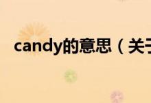 candy的意思（关于candy的意思的介绍）