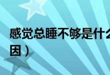 感觉总睡不够是什么原因（总睡不够是什么原因）