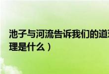 池子与河流告诉我们的道理作文（池子与河流告诉我们的道理是什么）