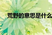 荒野的意思是什么三年级（荒野的意思）