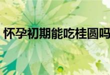 怀孕初期能吃桂圆吗（怀孕初期能吃柿子吗）