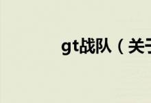 gt战队（关于gt战队的介绍）