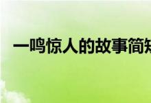 一鸣惊人的故事简短版（一鸣惊人的故事）