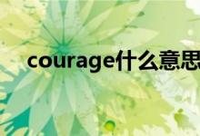 courage什么意思（courage什么意思）