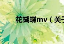 花蝴蝶mv（关于花蝴蝶mv的介绍）