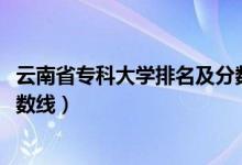 云南省专科大学排名及分数线（2022云南专科大学排名及分数线）