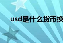 usd是什么货币换人民币（usd是什么）