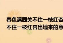 春色满园关不住一枝红杏出墙来是什么意思?（满园春色关不住一枝红杏出墙来的意思）