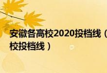 安徽各高校2020投档线（2022安徽高考提前批本科军事院校投档线）