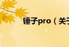 锤子pro（关于锤子pro的介绍）