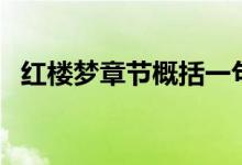 红楼梦章节概括一句话（红楼梦章节概括）