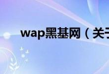 wap黑基网（关于wap黑基网的介绍）