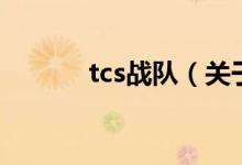 tcs战队（关于tcs战队的介绍）