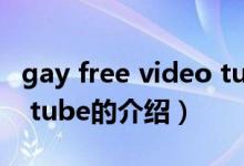 gay free video tube（关于gay free video tube的介绍）