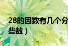 28的因数有几个分别是哪些（28的因数有哪些数）