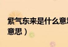 紫气东来是什么意思5个字（紫气东来是什么意思）