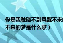 你是我触碰不到风醒不来的梦文案（你是我触碰不到的风醒不来的梦是什么歌）