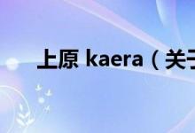 上原 kaera（关于上原 kaera的介绍）