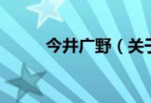 今井广野（关于今井广野的介绍）