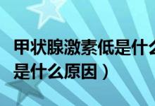 甲状腺激素低是什么引起的（甲状腺激素偏低是什么原因）