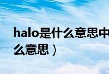 halo是什么意思中文翻译怎么读（halo是什么意思）