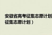 安徽省高考征集志愿计划表2021（2022安徽高考提前批次征集志愿计划）