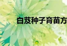 白芨种子育苗方法（白芨种苗种植）