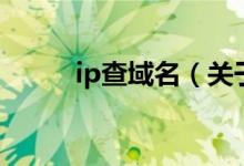 ip查域名（关于ip查域名的介绍）