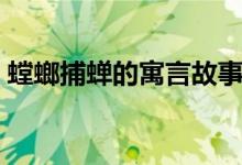 螳螂捕蝉的寓言故事视频（螳螂捕蝉的意思）