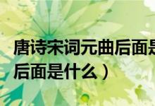 唐诗宋词元曲后面是什么（唐诗宋词元曲明清后面是什么）