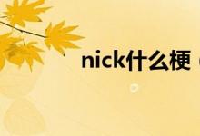 nick什么梗（nick什么意思）